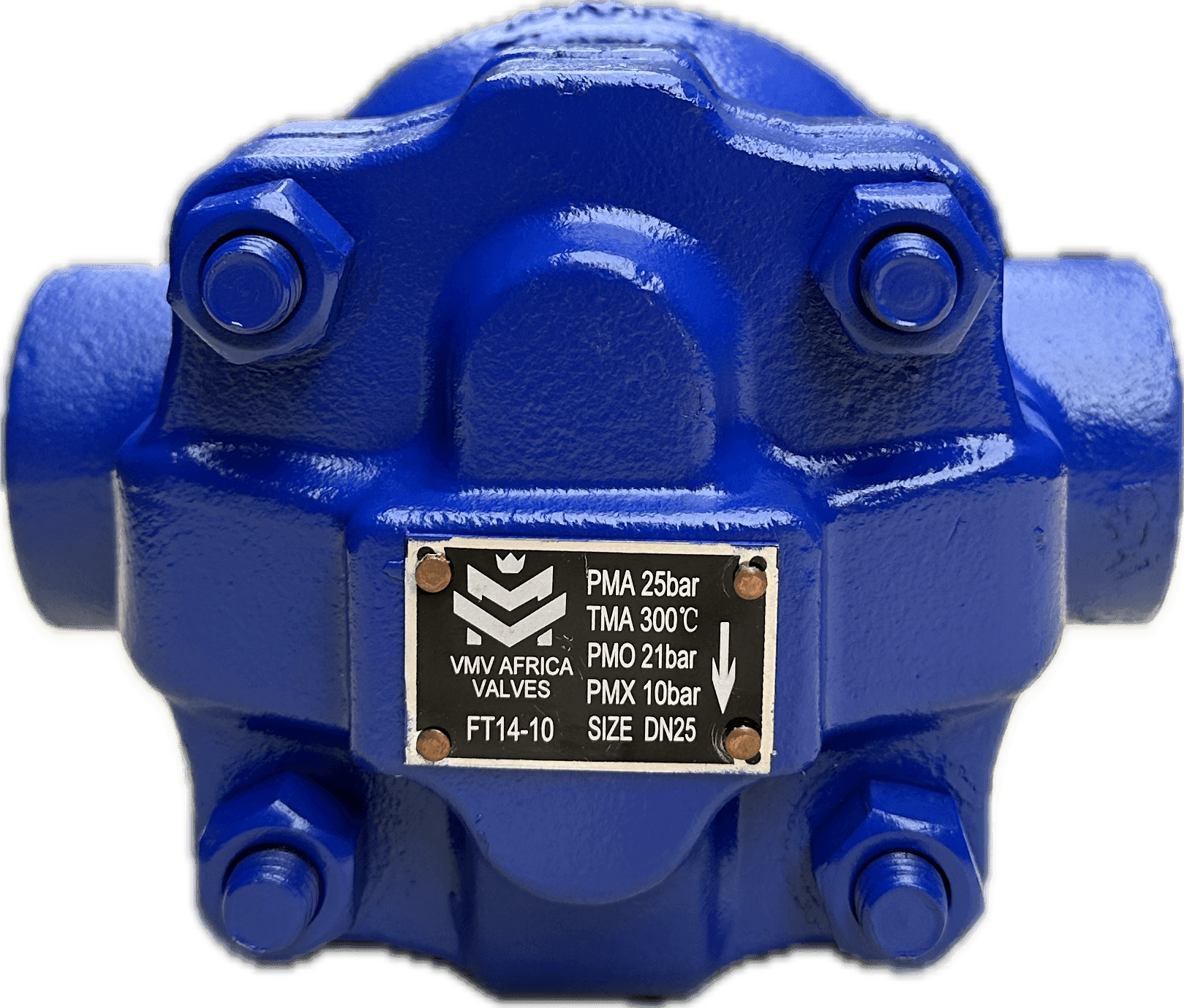 VMV Float Steam Trap BSP