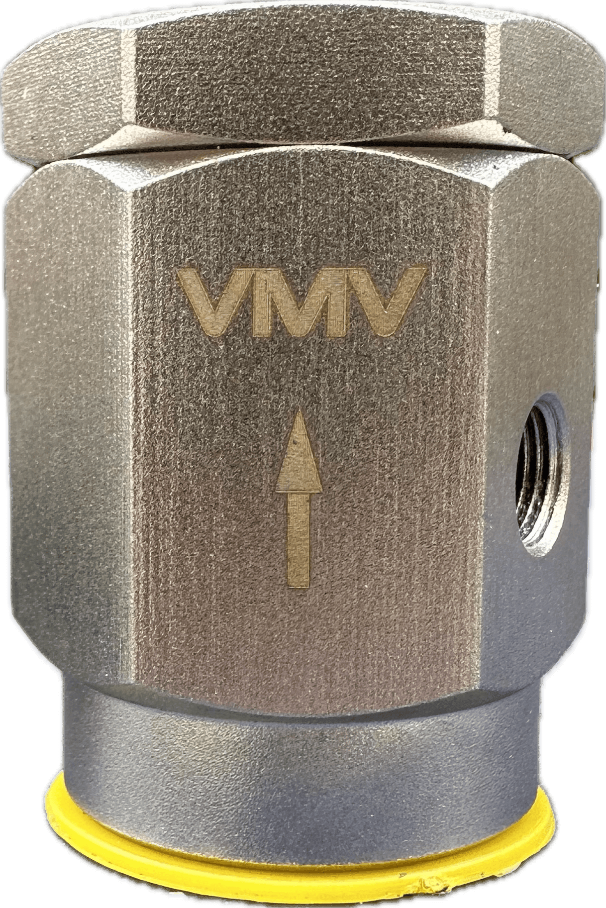 VMV Vacuum Breaker Screwed BSP